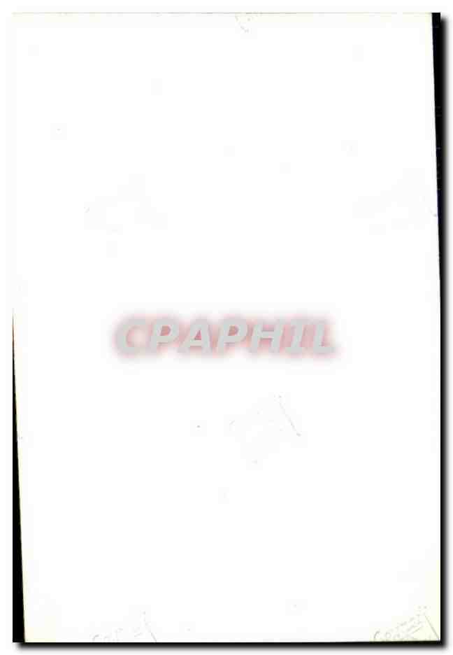 Photo Brest 1944 Militaria — Back