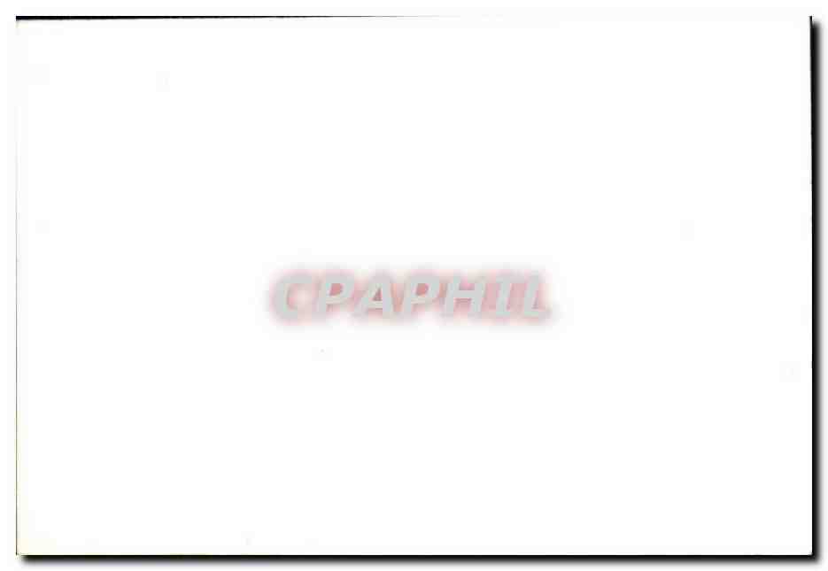 Photo Brest 1944 Militaria — Back