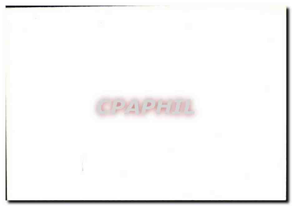 Photo Brest 1944 Militaria — Back