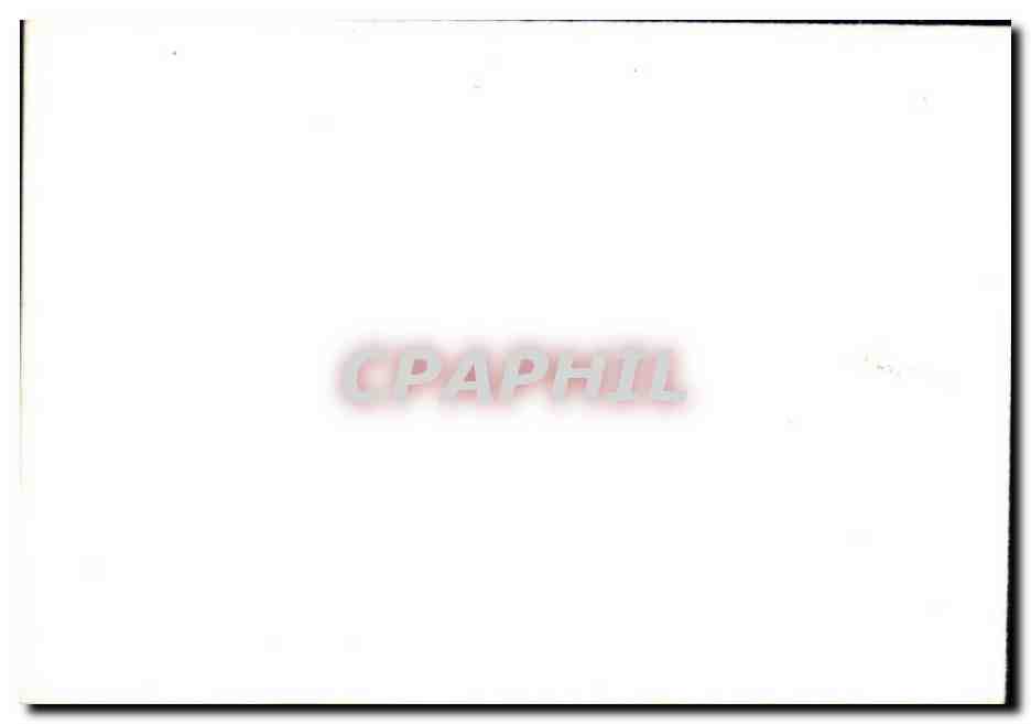 Photo Brest 1944 Militaria — Back