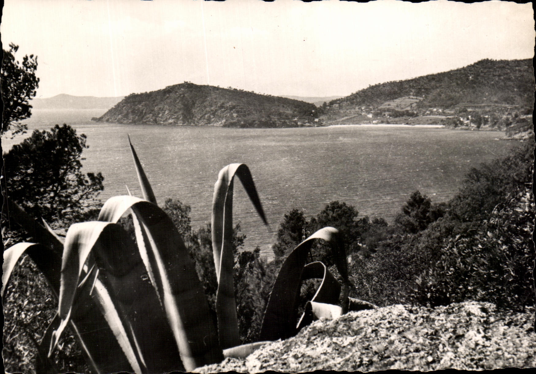 CPA Bords De La Riviera Un Coin De La Cote