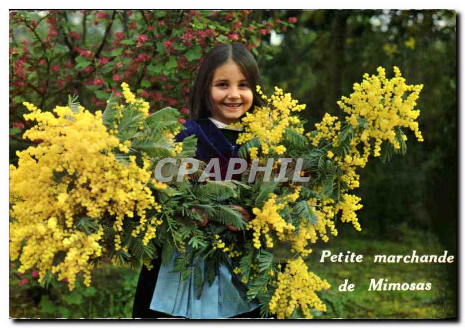 Petite marchande de Mimosas — CPAPHIL, n° 018