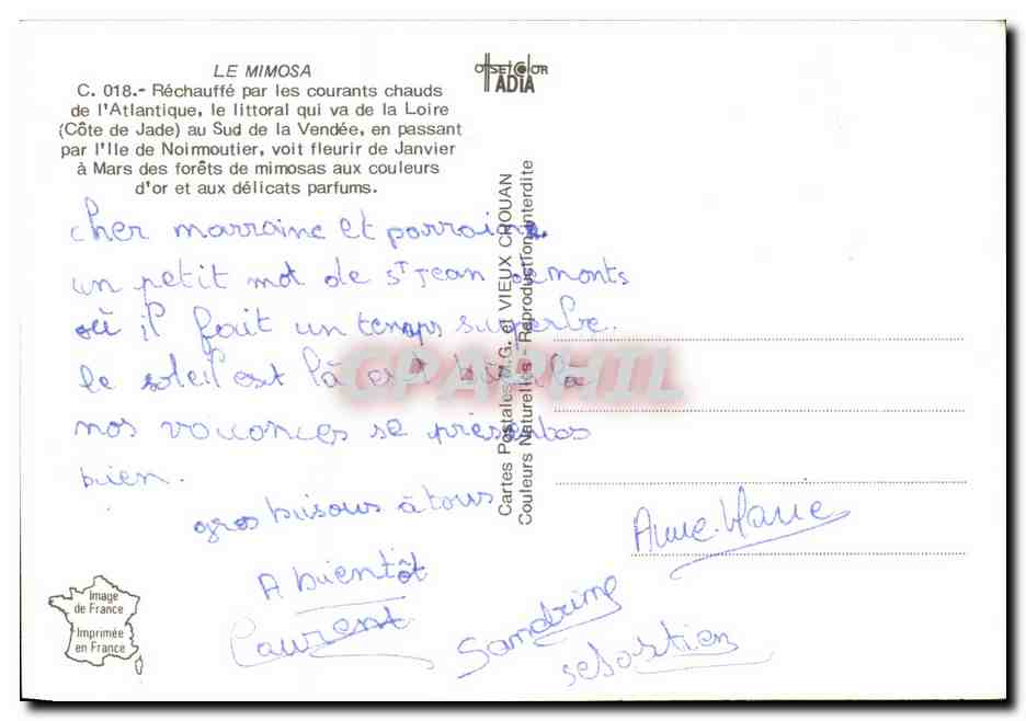 Petite marchande de Mimosas — CPAPHIL, n° 018 — Reverso