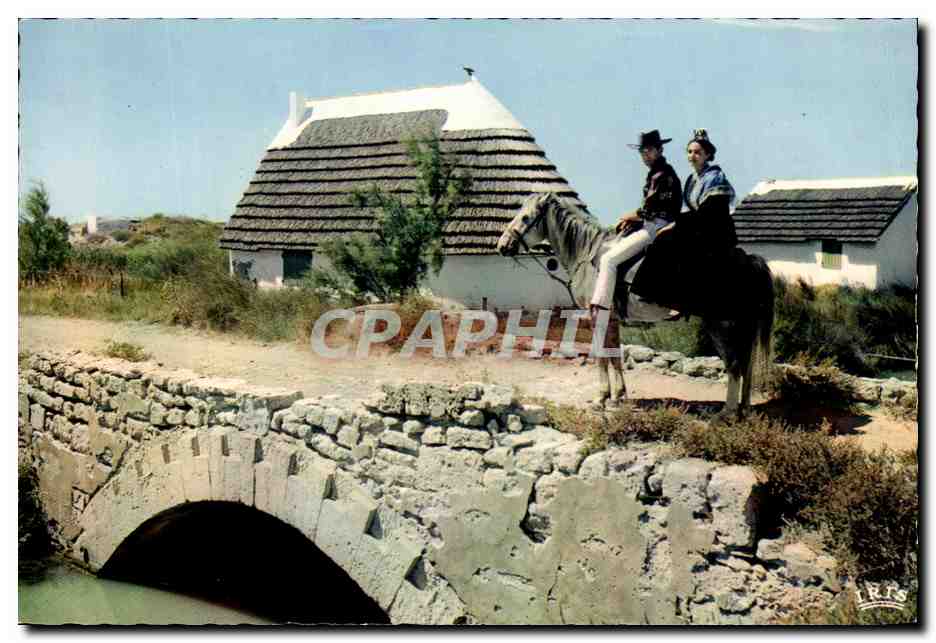 CPM Camargue Avec Les Gardians Folklore Cheval