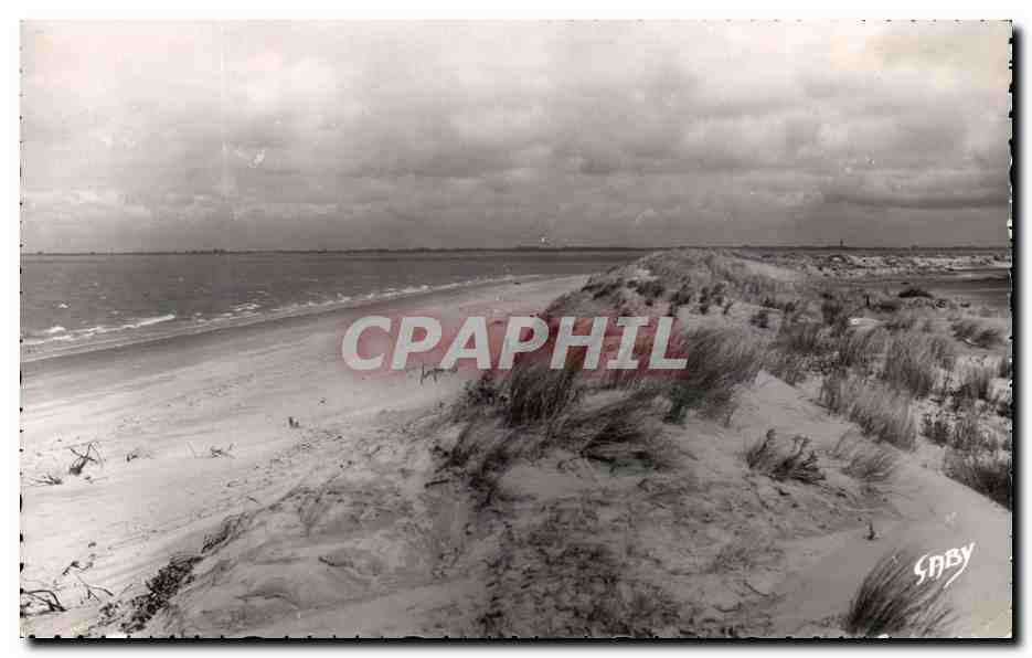 Plage et dunes — vue de la côte — Éditions Gaby