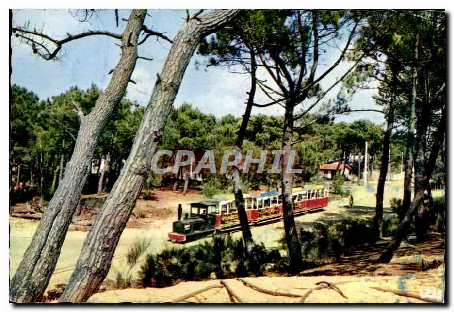 CPSM Bassin D Arcachon Le Pett Train du Cap Ferret