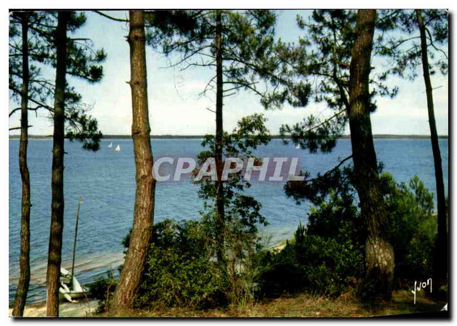 CPSM Le Lac De Lacanau Vue Des Pins Couleurs Et Lumiere De France