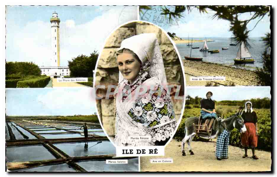 Ile de Ré — Phare des Baleines, Marie Rétalaise, Anse de Troussé-Chemise, Marais Salants, Âne en Gulate — Éditions Artaud, Nantes