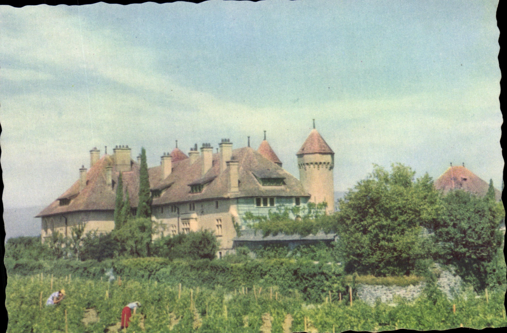 Château de Ripaille — près de Thonon (Haute-Savoie) — Collection 'Évian et ses environs' — S.A.E.M. Évian, imp. Georges Lang, Paris