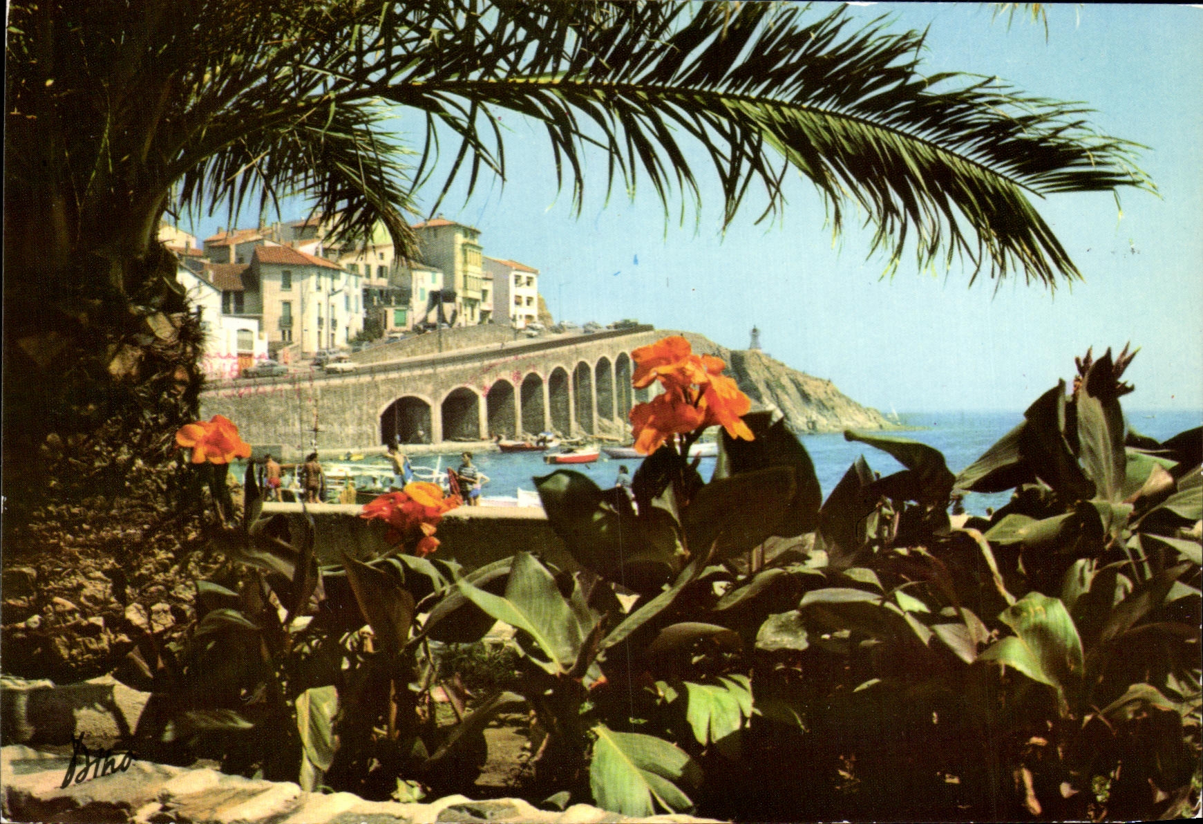 CPSM Banyuls Sur Mer Vue la corniche 