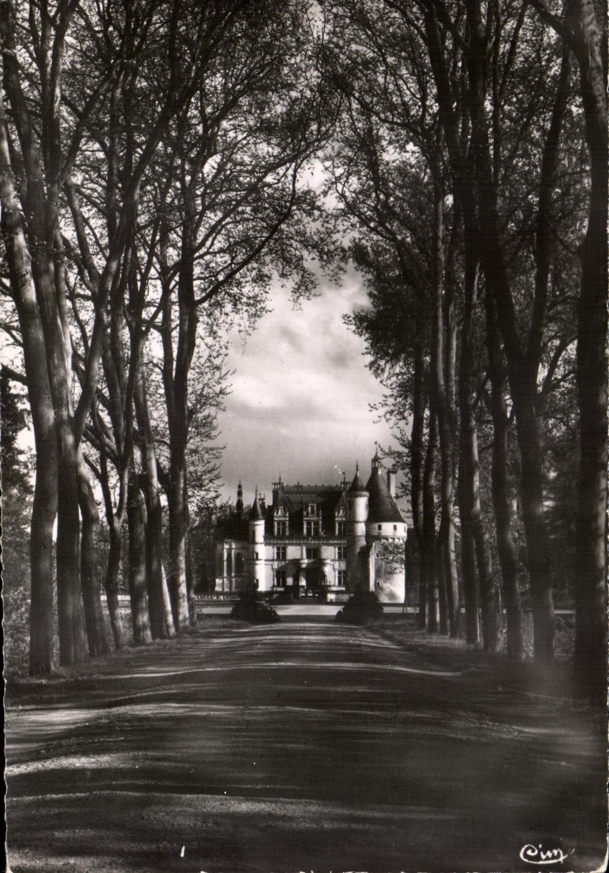 CPSM Chateau de Chenonceaux Allee des platanes