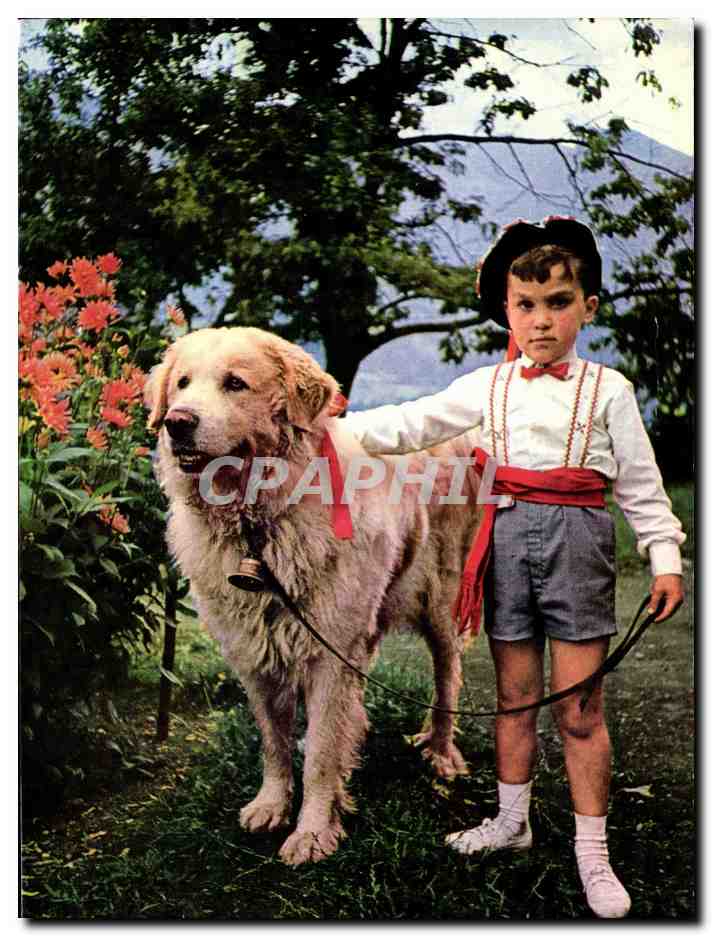 Enfant au Chien — Folklore Pyrénéen — Éditions CHAMION, Lourdes