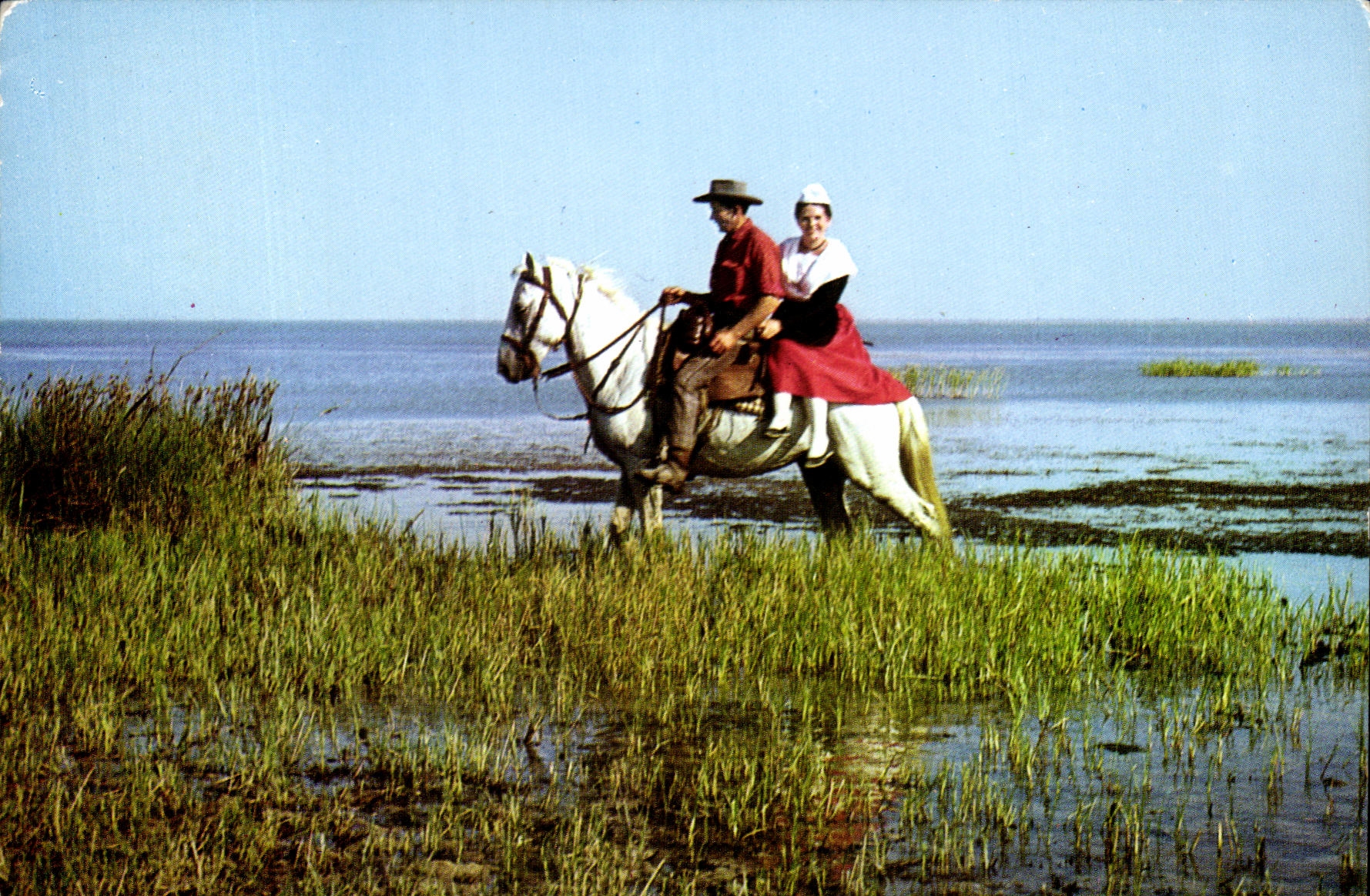 CPSM Les Belles Images de Camargue promenade a cheval au bord du Vaccares