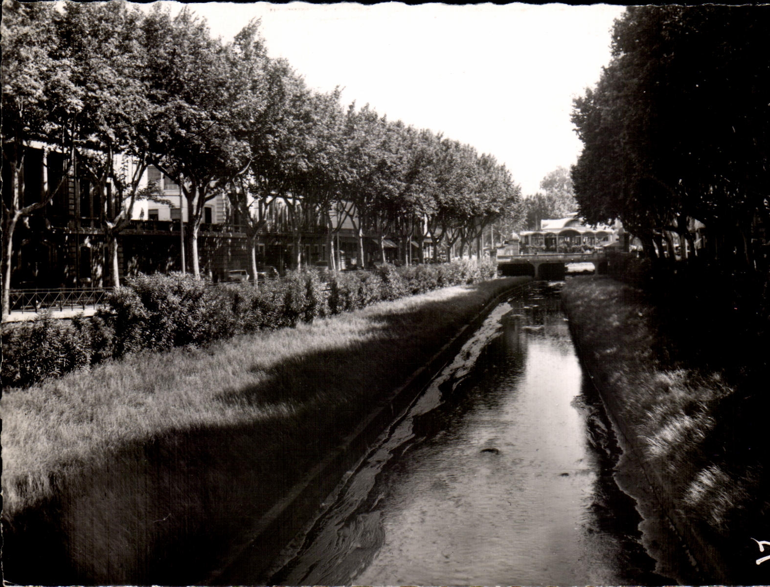 CPM Perpignan La Prefecture et les Quais de La Baisse