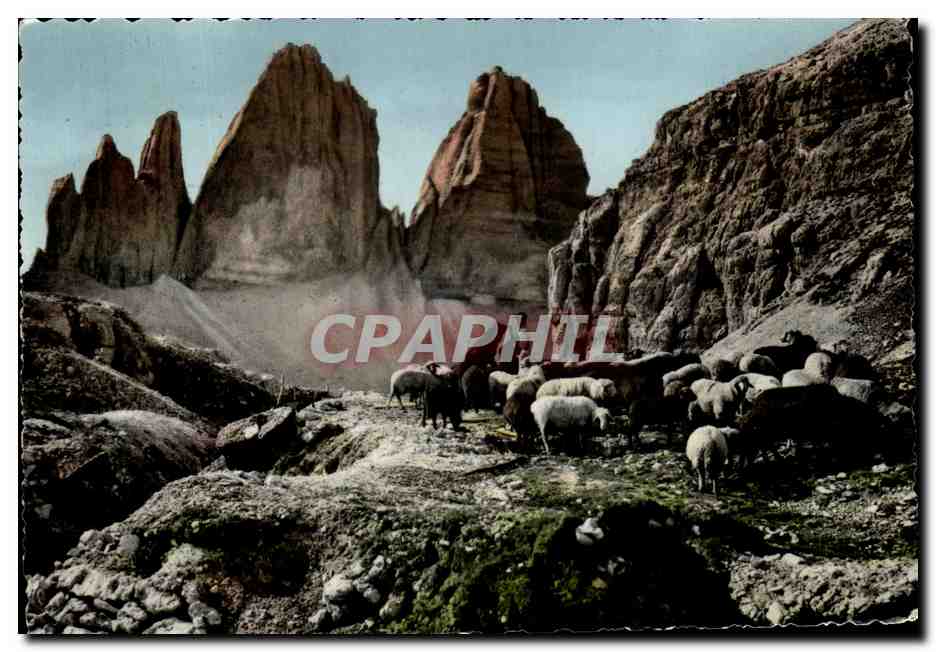 CPM Dolomiti Tre Cime dt Lavaredo Berger et moutons