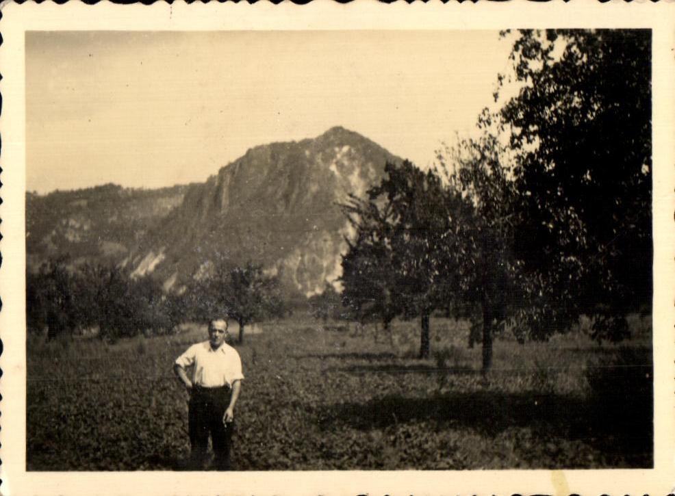 Photo homme au milieu des vergers
