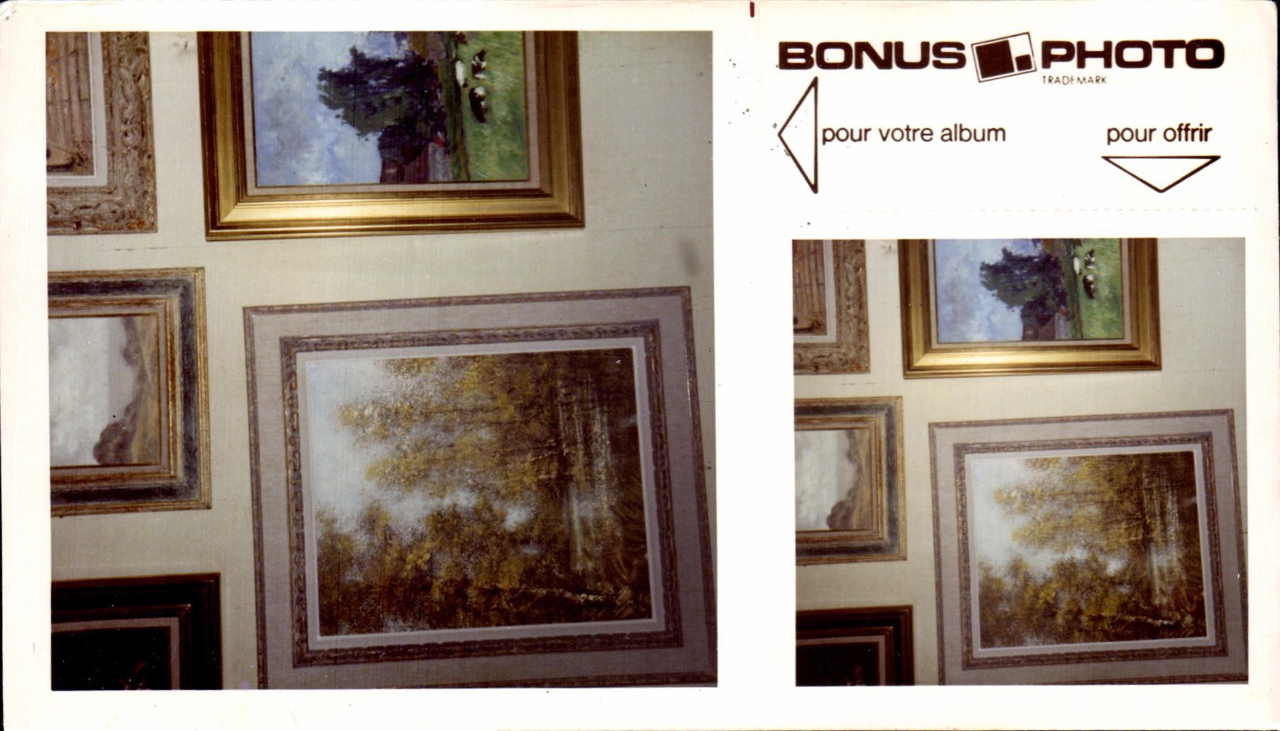 Photo Peintures Bonus Photo