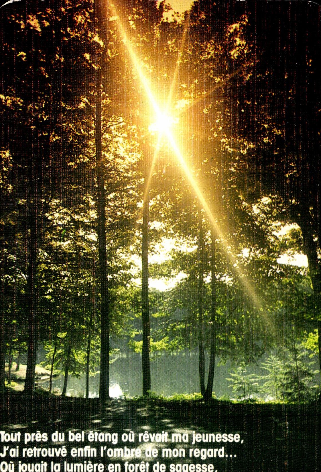 CPM Tout Pres du bel etang ou revent md Jeunesse j ai retrouve l ombre de Mom regard 