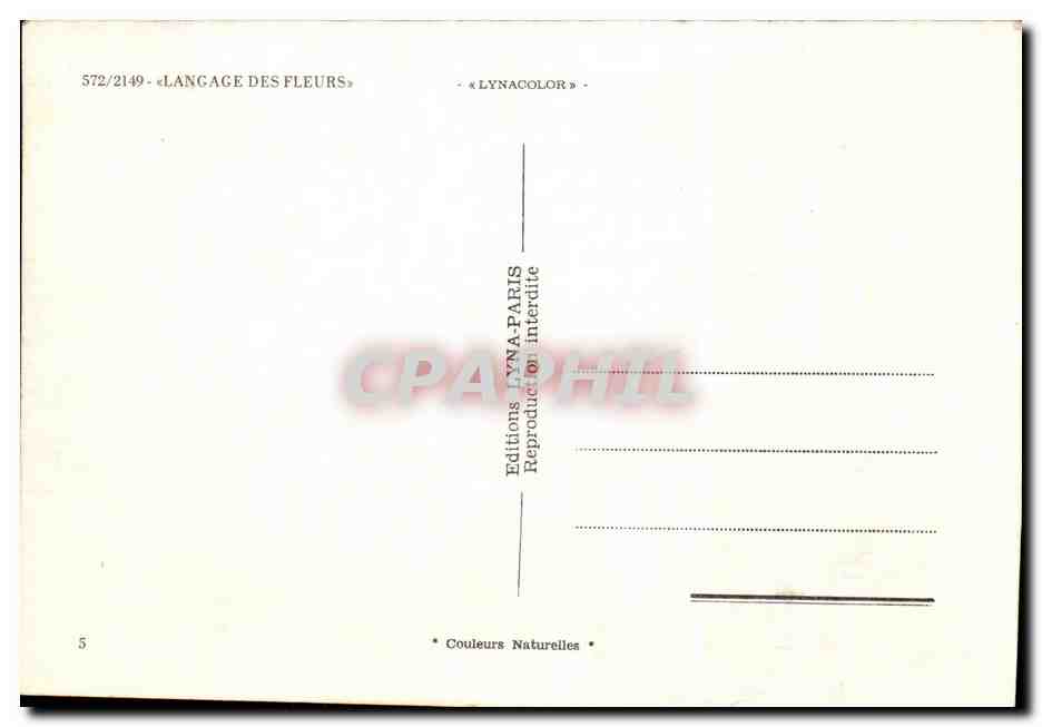 CPM Lierre Iris Langage des Fleurs — Rückseite