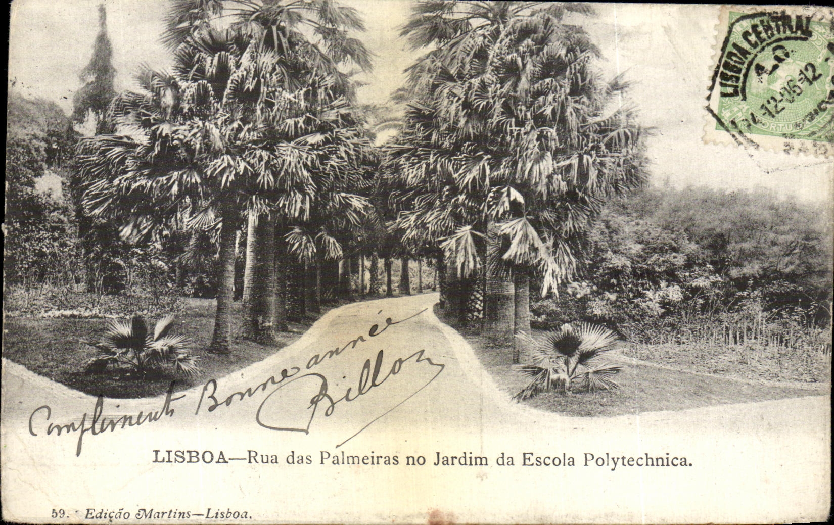 CPA Lisboa Rue das Palmeiras No Jardin da Escola Polutechnica