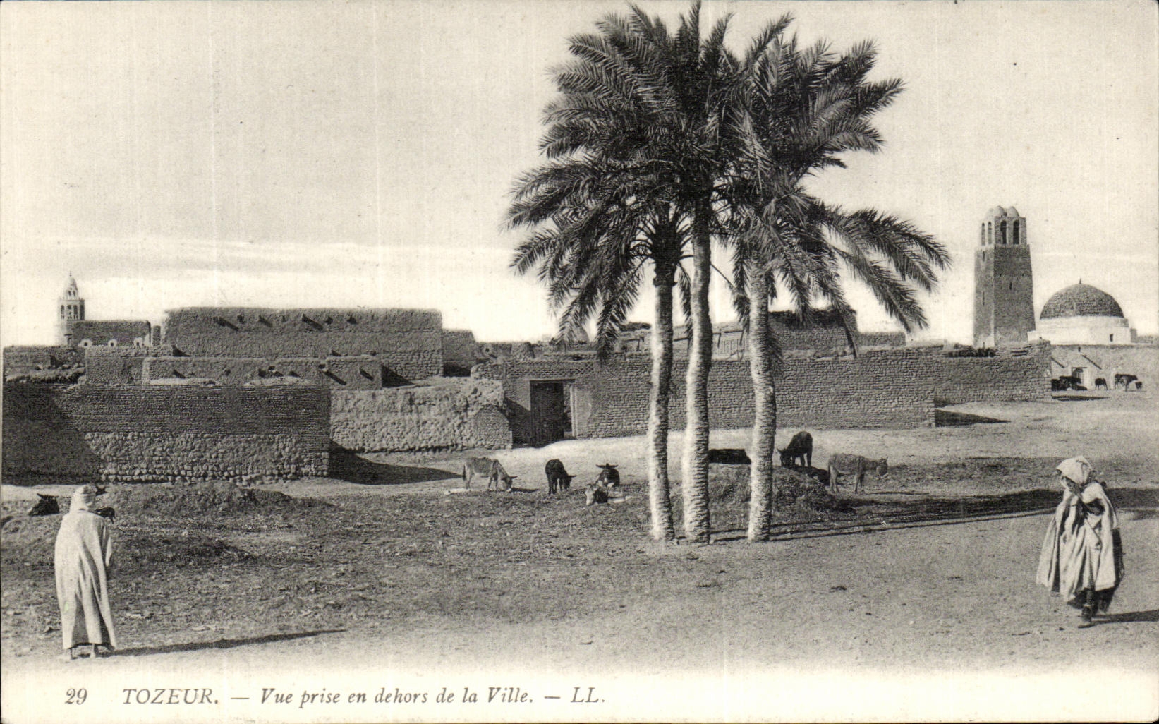 CPA Tozeur Vue Prise en Dechors de la Ville Tunisie