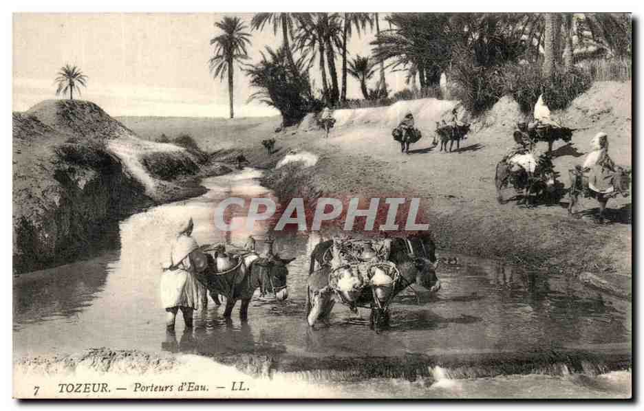 CPA Tozeur Porteurs d Eau Anes