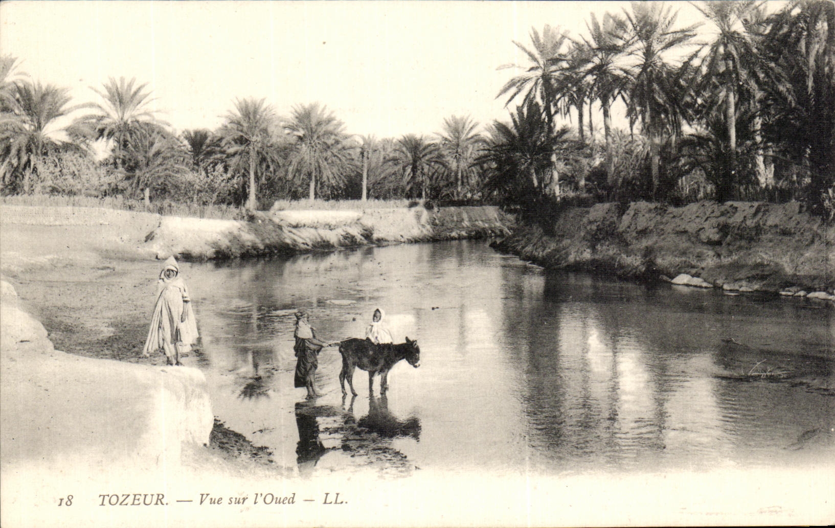 CPA Tozeur Vue Sur L Oued Ane Tunisie Enfants