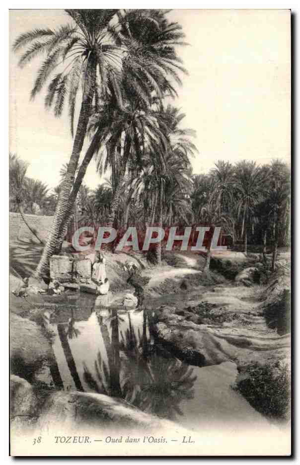 CPA Tozeur Oued Dans L Oasis Tunisie