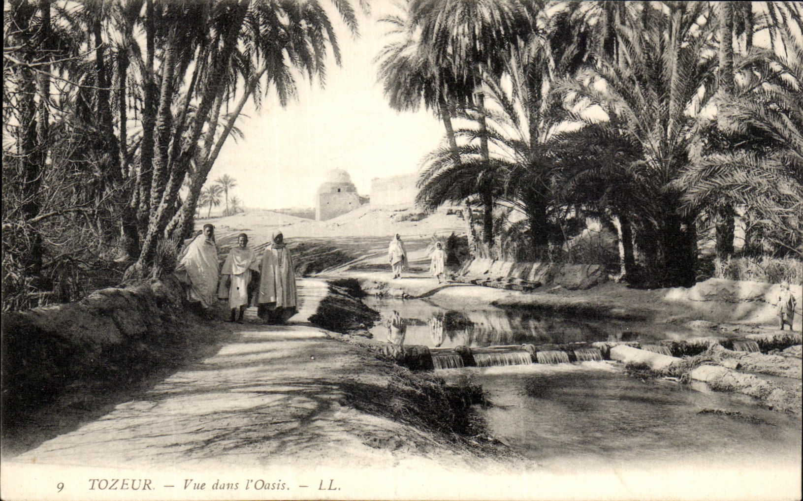 CPA Tozeur Vue dans L Oasis Tunisie