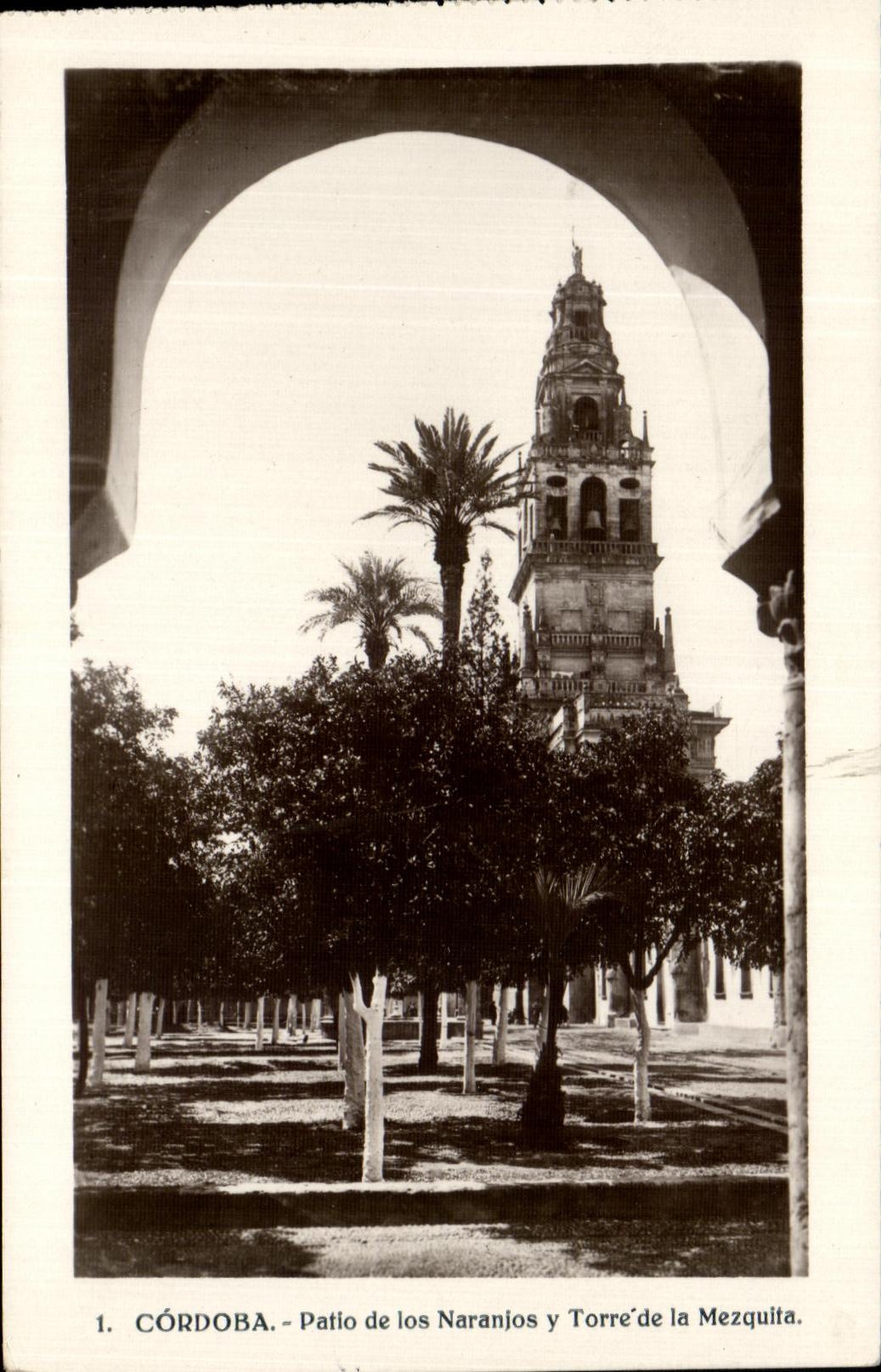 CPA Cordoba Patio de los Naranjos Torre de la Mezquita