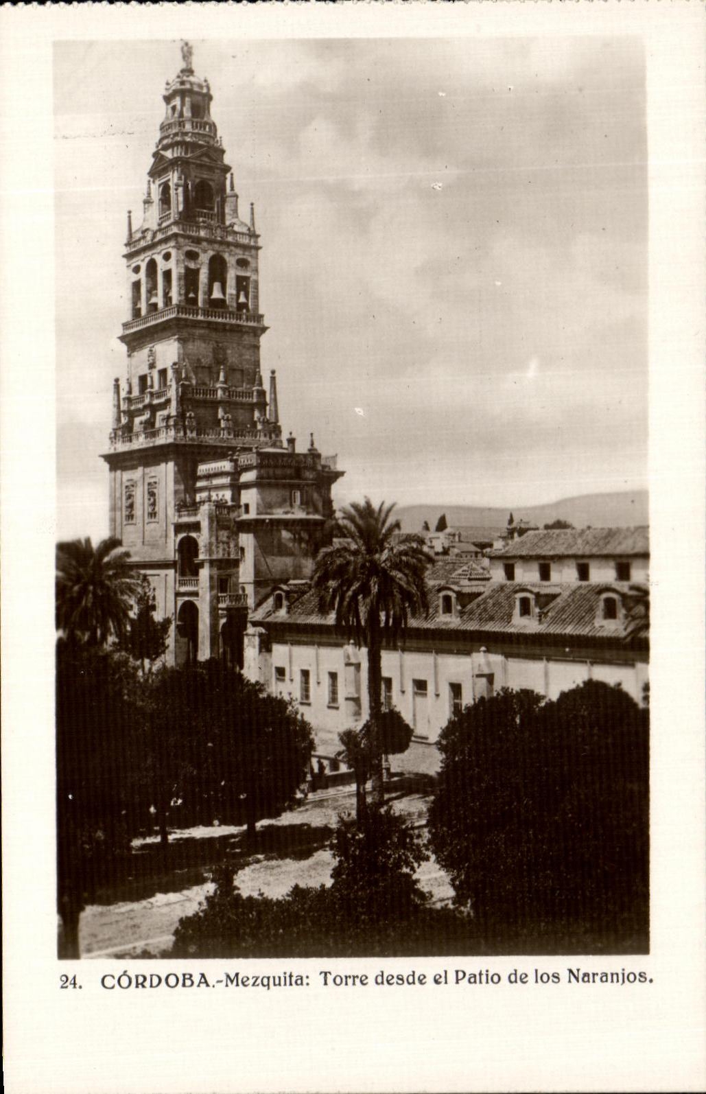 CPA Cordoba Mezquita Torre desde el Patio de los Naranjos