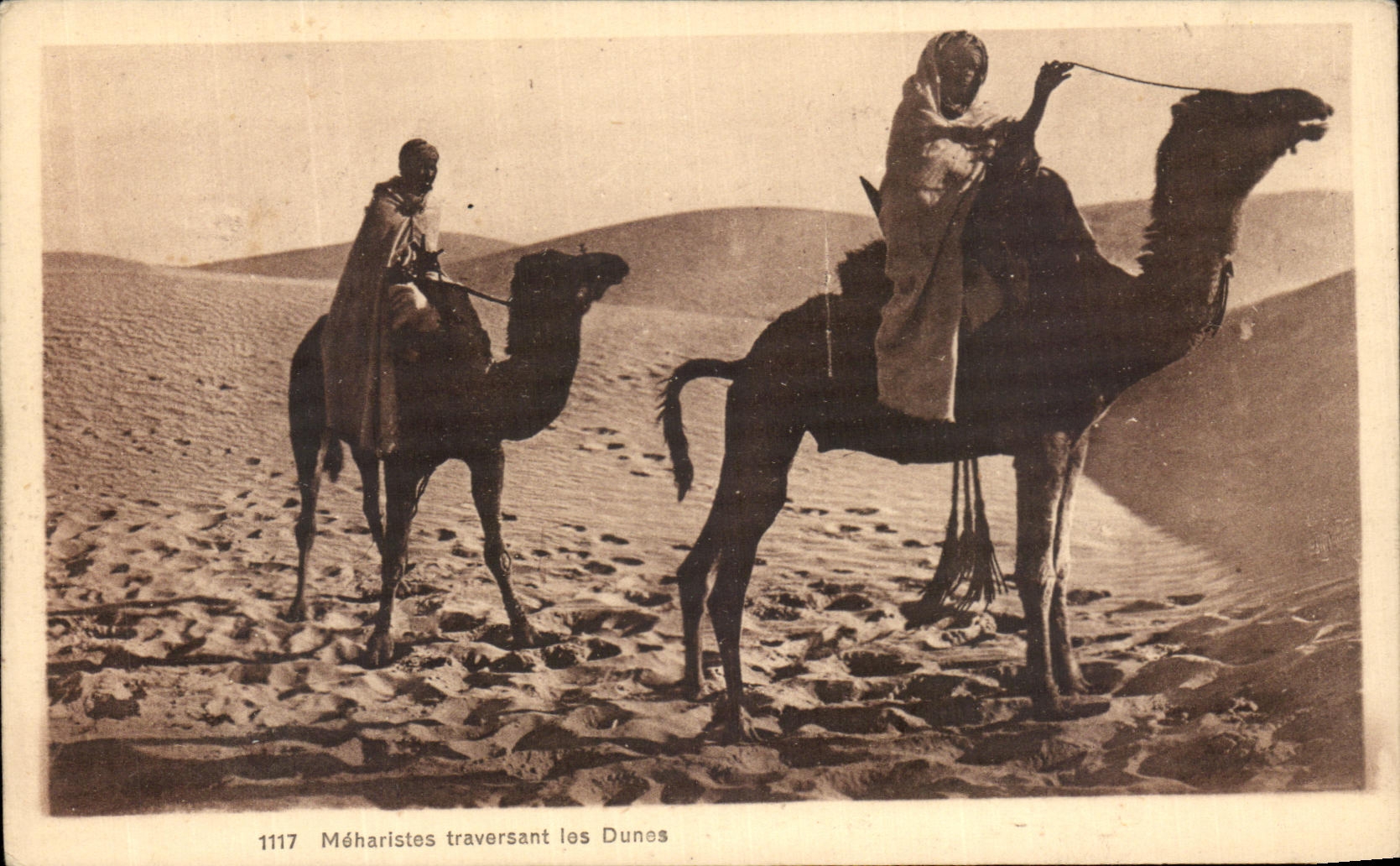 CPA Meharlstes Traversant les Dunes Chameaux