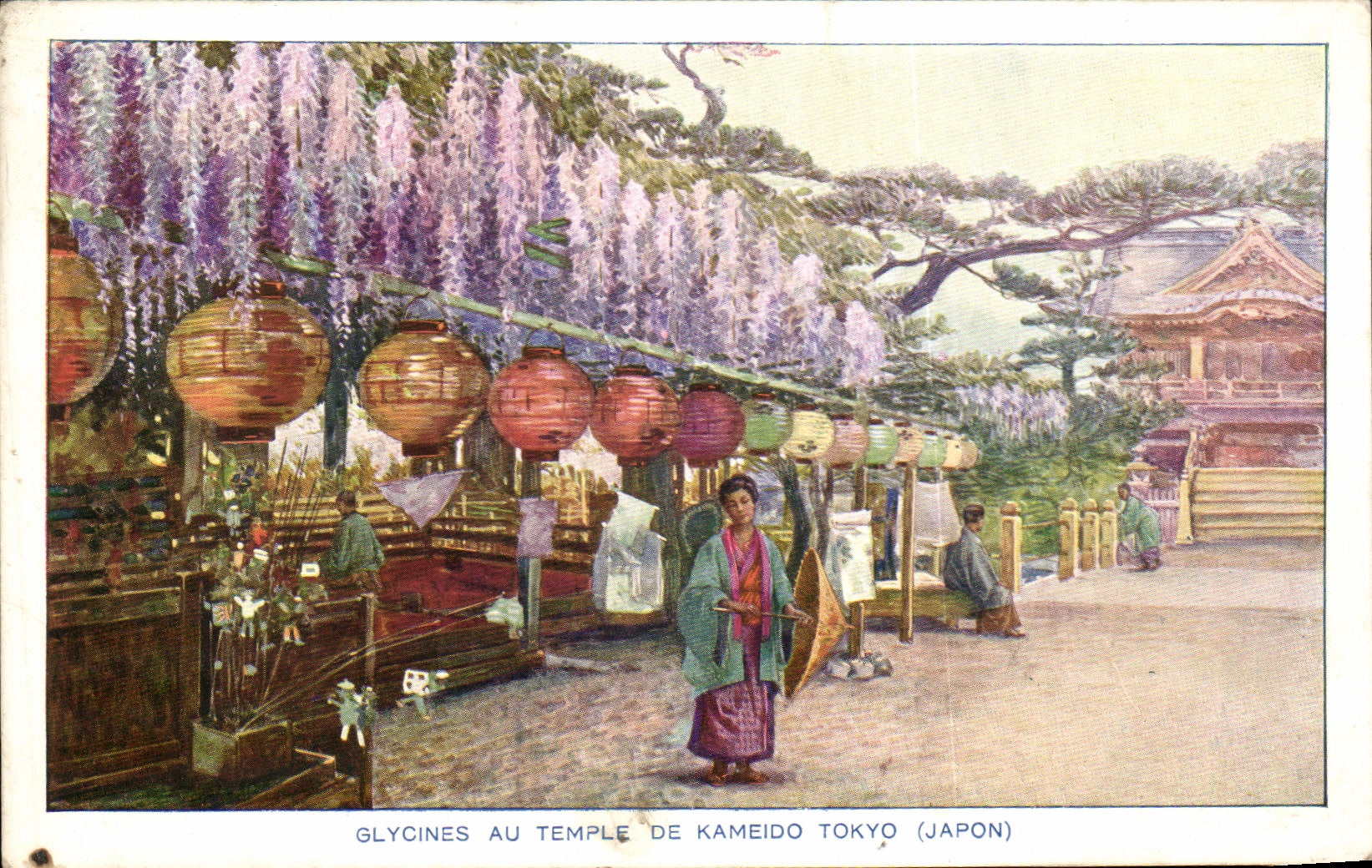 CPA Glycines Au Temple De Kameido Tokyo 
