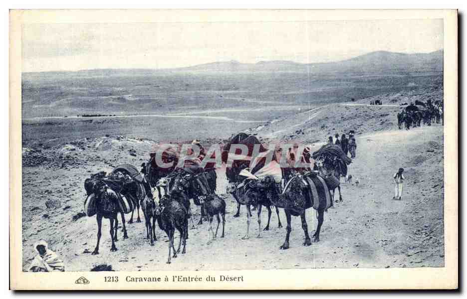 CPA Caravane A L Entree Du Desert Chameaux