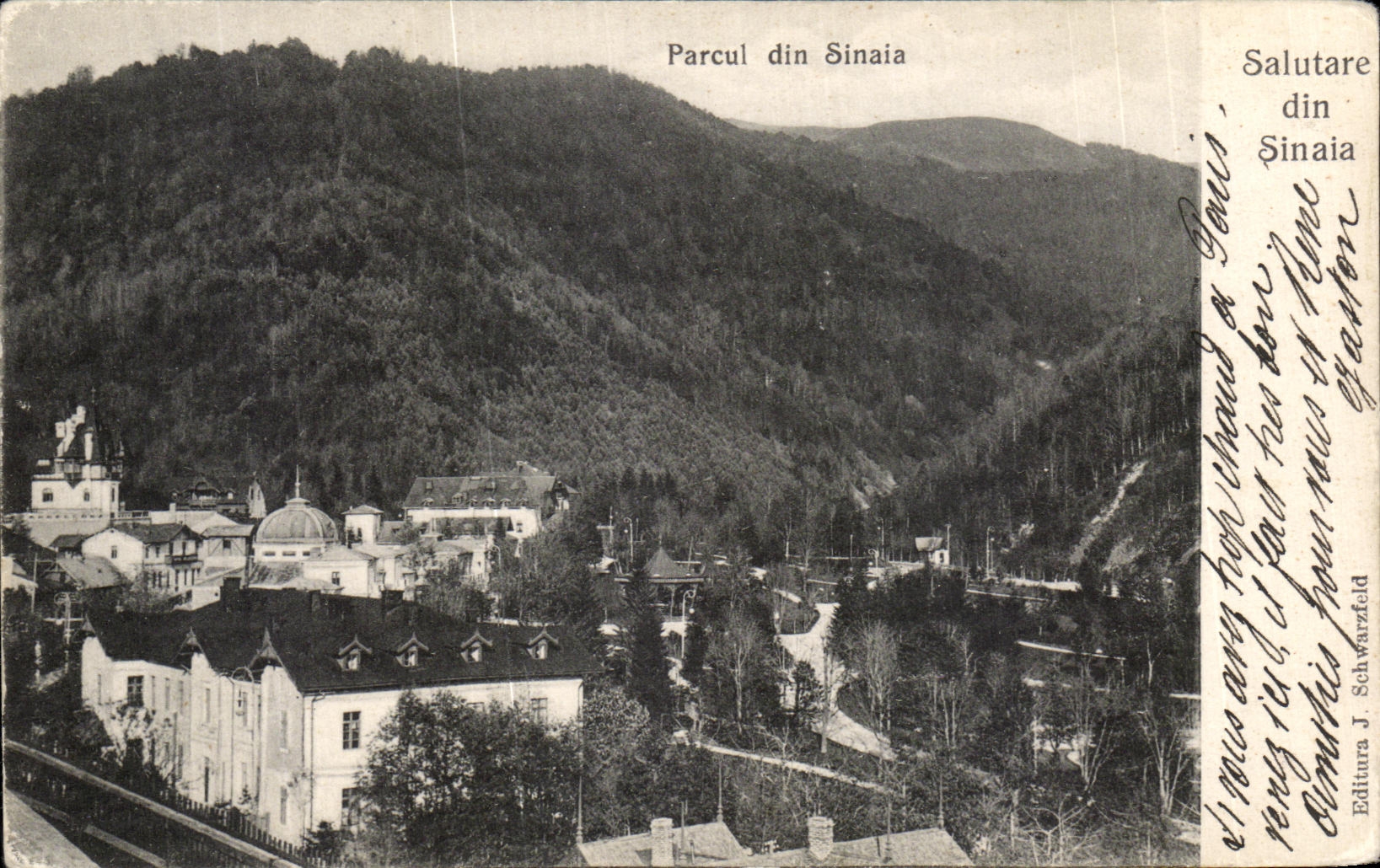CPA Parcul din Sinaia Roumanie