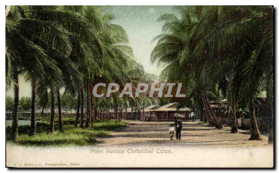 CPA Palm Avenue Christobal Colon Sri lanka 