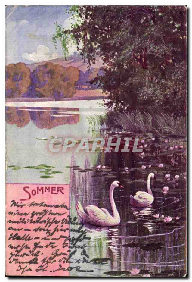 CPA Sommer Cygnes