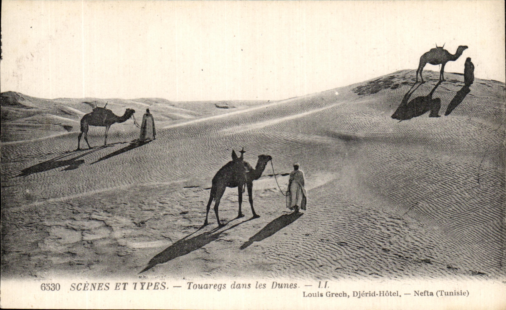 CPA Scenes Et types Touareg dans les Dunes Chameaux