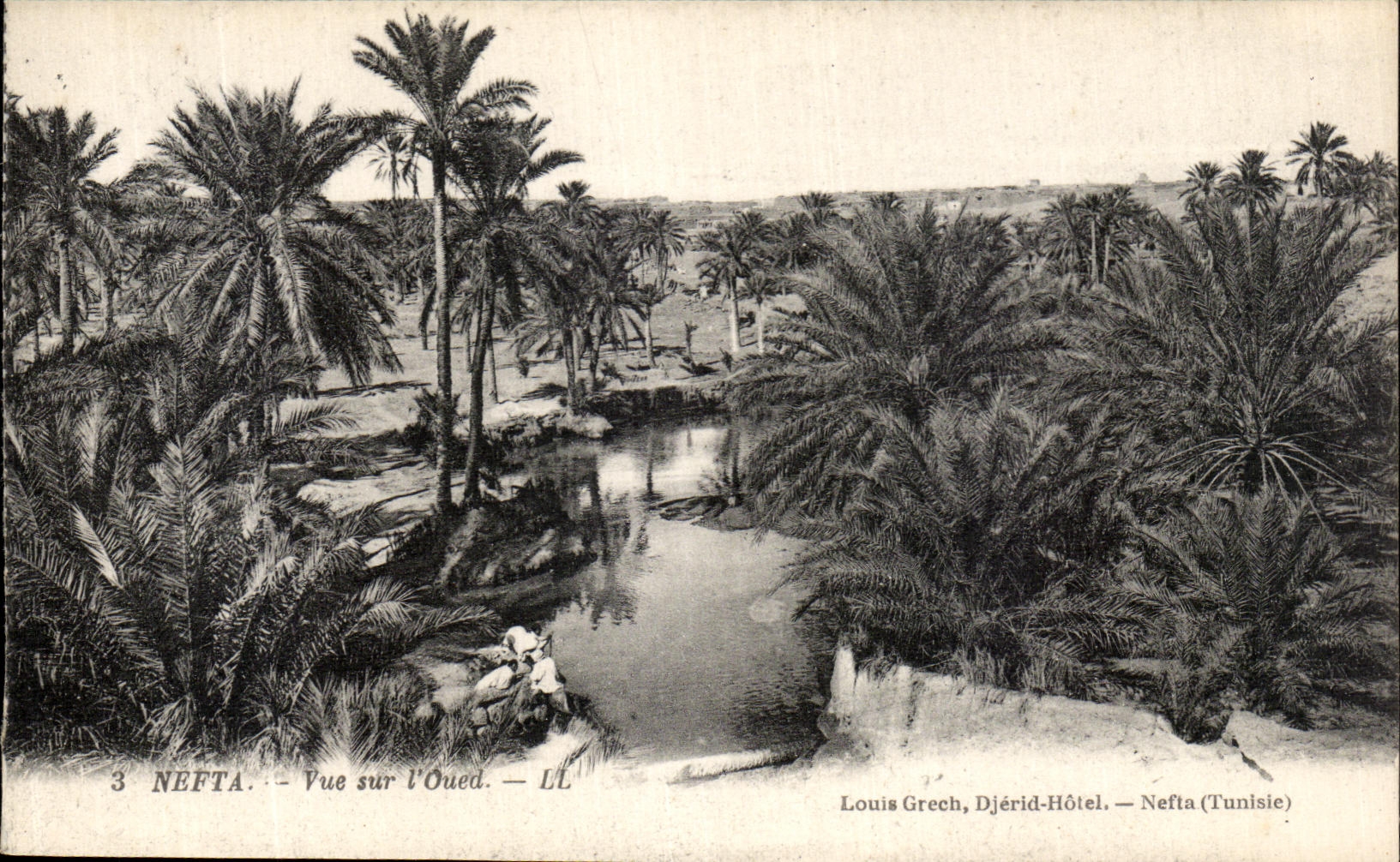 CPA Nefta Vue sur l Oued Tunisie