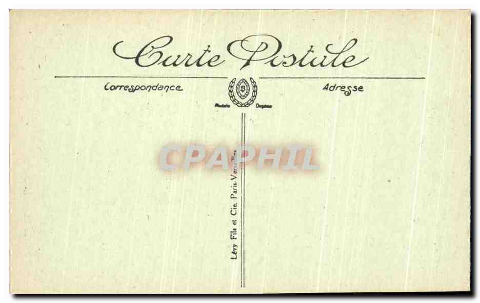 CPA Nefta Groupe de palmiers Tunisie — Back