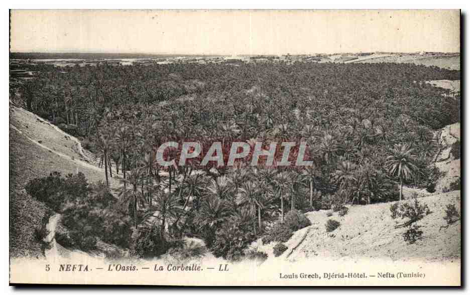 CPA Nefta L oasis La corbeille Tunisie