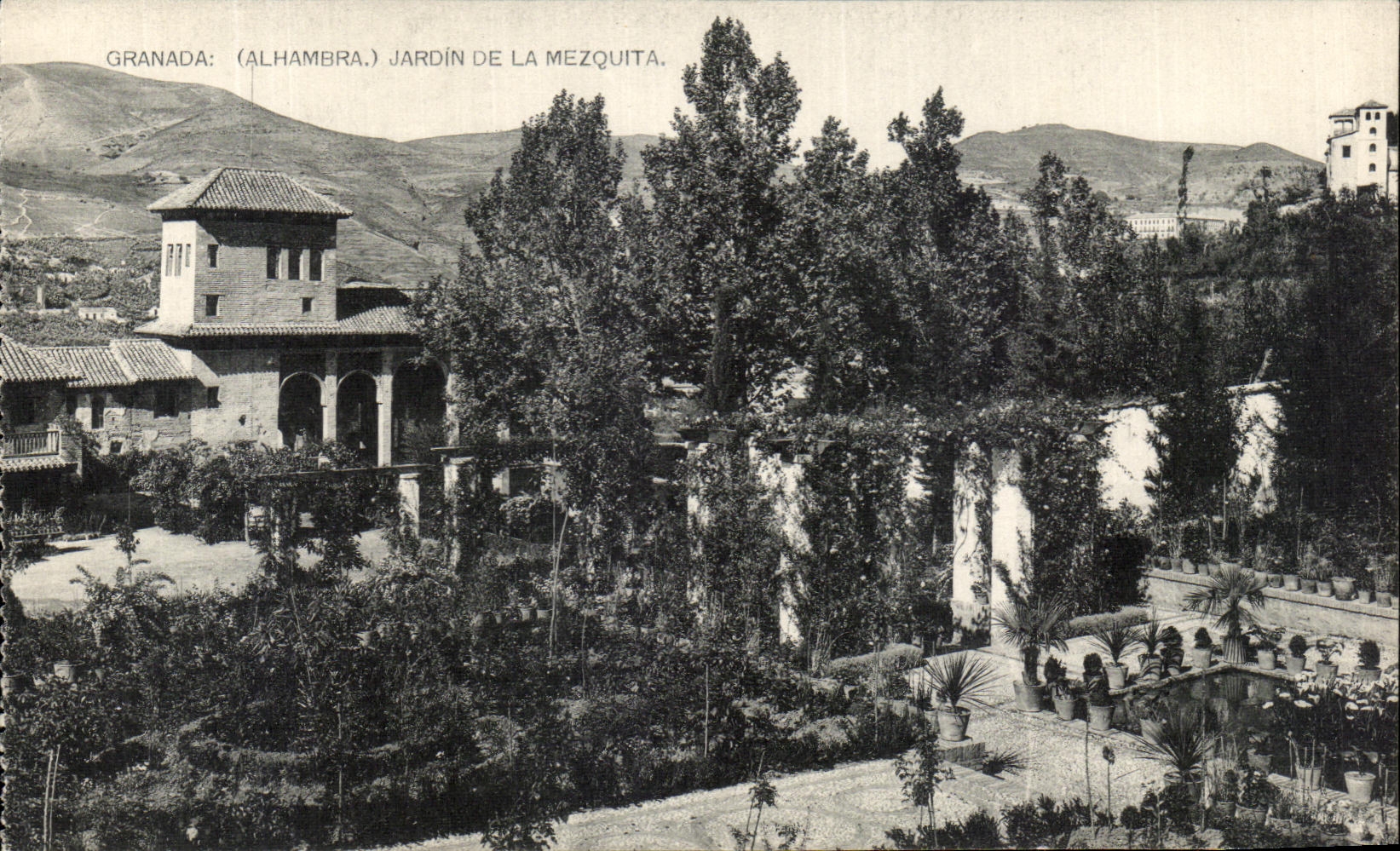Granada: (Alhambra.) Jardín de la Mezquita — Phototypie de Hauser & Cie, Madrid