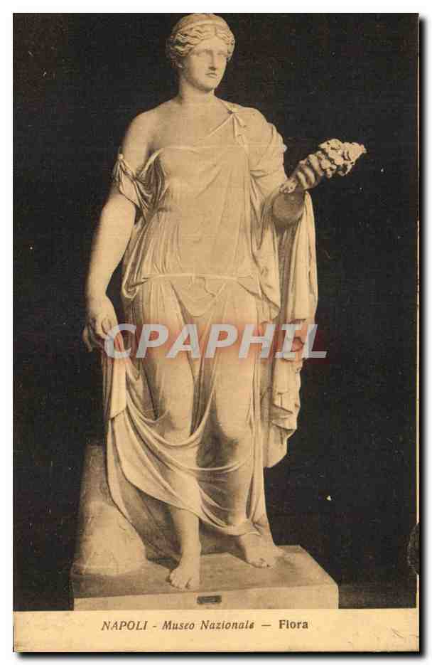 CPA Napoli Museo Nazionale Flora