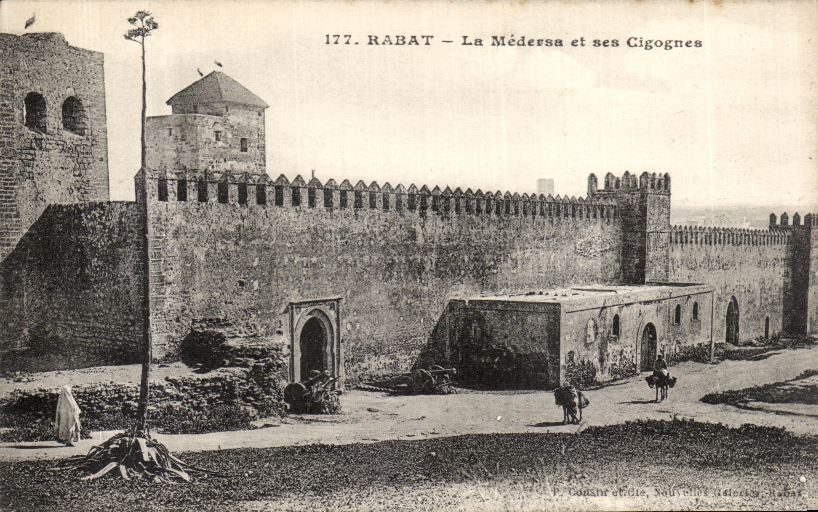 CPA Rabat La Medersa et ses Cigognes 