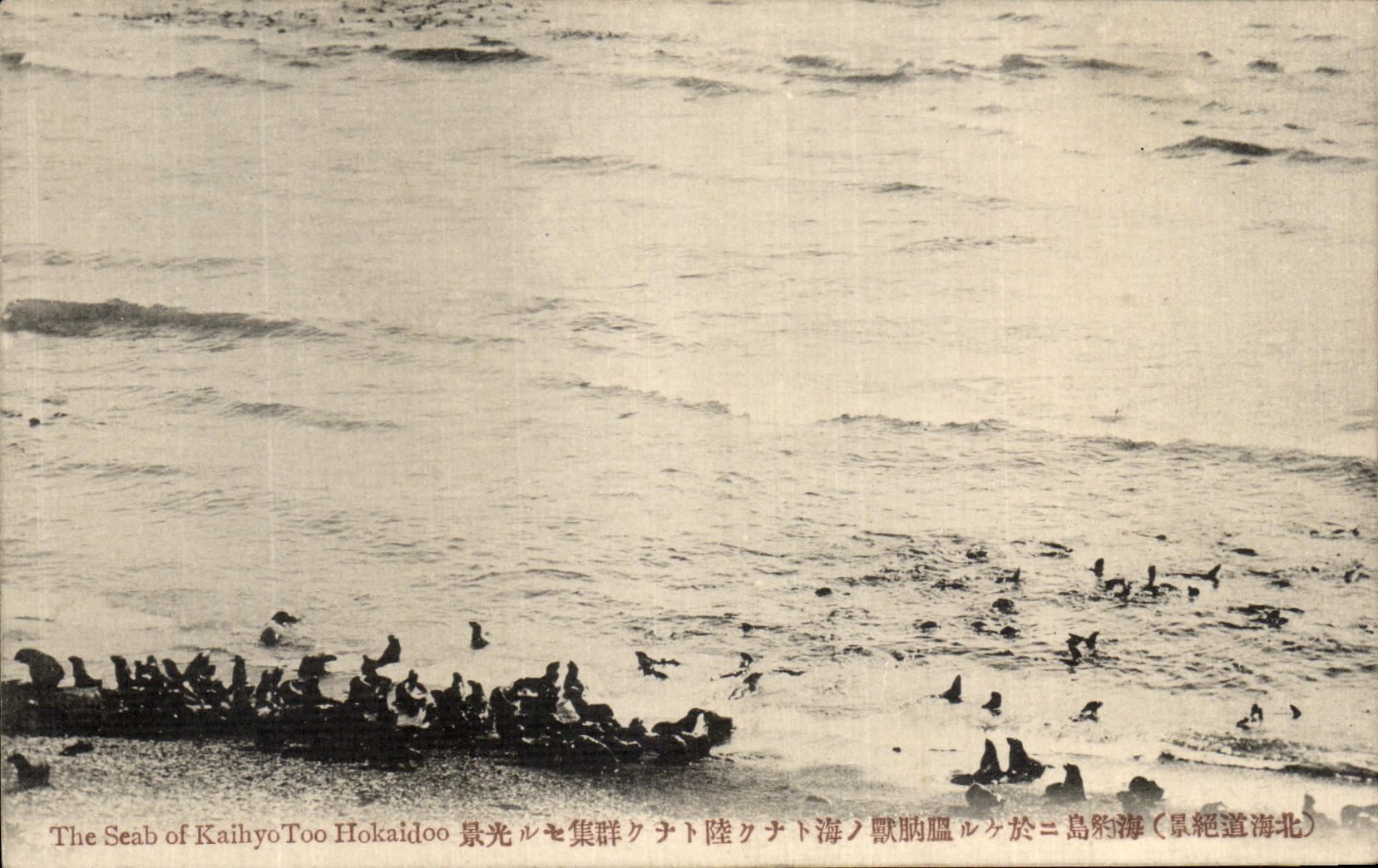 La mer de Kaihyo Too Hokaidoo — vue de la côte de Hokkaido — éditeur inconnu