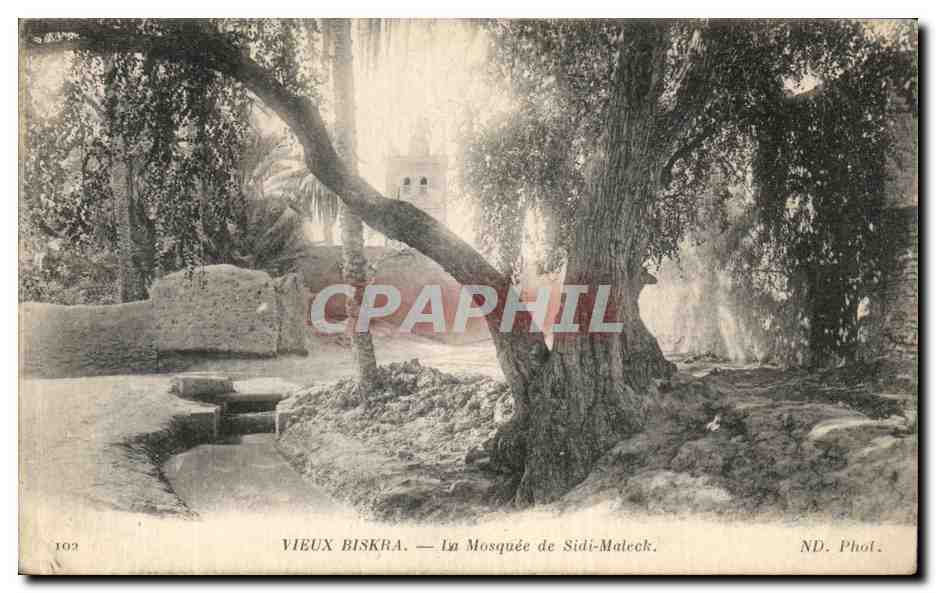 CPA Vieux Biskra La Mosque de sidii Maleck 