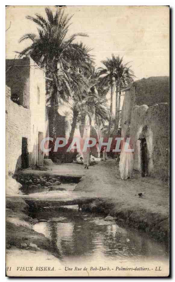 CPA Vieux Biskra Une rue de Bab DAark Palmiers dattiers