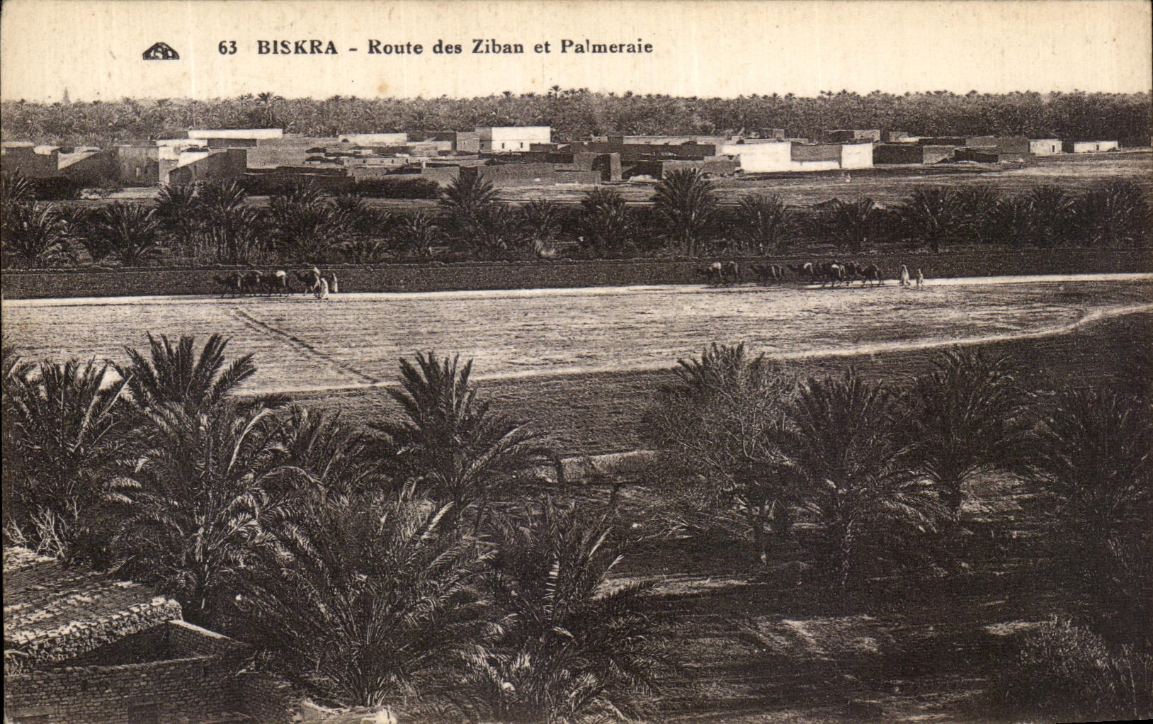 CPA Biskra Route des ziban et Palmeraie 