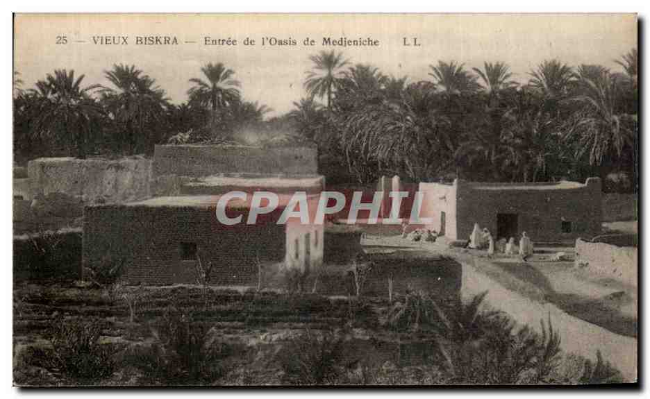 CPA Biskra Entree de l Oasis de Medjeniche