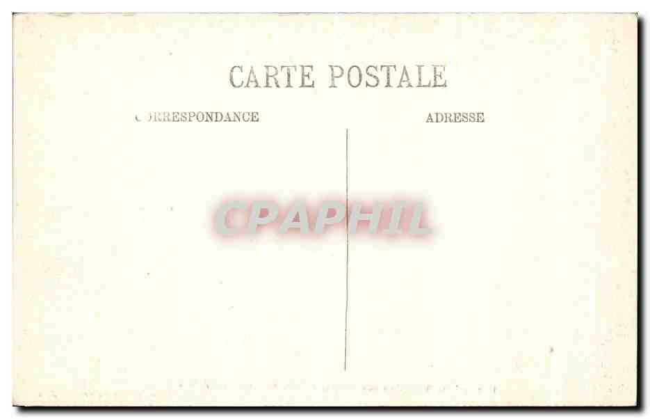 CPA Alger Jardin L Allee des Ficus  — Back
